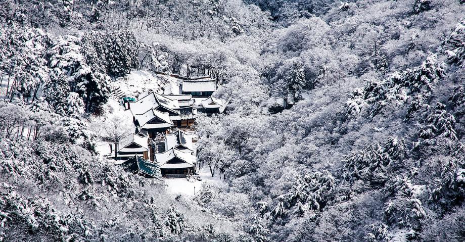 동학사 설경 | 입선 이미지