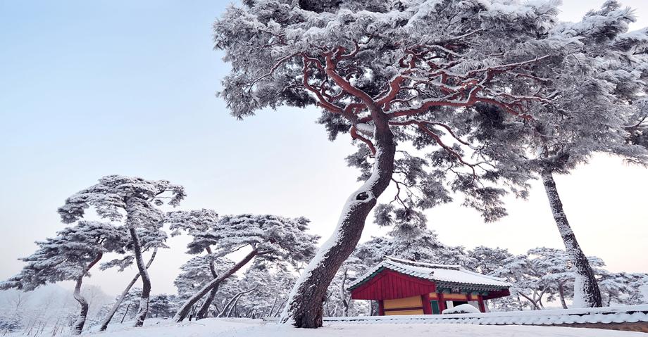 곰사당설경 | 입선 이미지